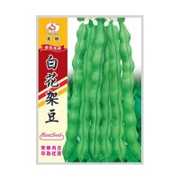 重慶本地受歡迎的四季豆品種，好吃好賣(mài)不易老化帶小時(shí)候的清香味