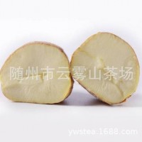 批發(fā)供應2020年隨州板栗 內質優(yōu) 篩選標包已入冷庫