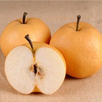 山東萊陽豐水梨特5斤6-8?，F摘脆甜梨新鮮水果批發