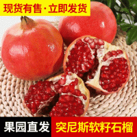 四川會理軟籽石榴突尼斯軟籽石榴果園現摘現發(fā)應季紅心軟籽石榴