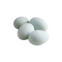 鴨蛋 批發(fā)直銷 質量可靠 量大價優(yōu)