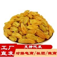 工廠批發(fā)代發(fā)新疆樹上黃葡萄干散裝袋裝無核大顆粒吐魯番黃葡萄干