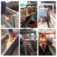 湖南自動化養豬設備 電動喂料車 養豬場喂料機 興達牧機