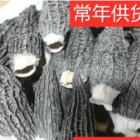 產地直銷福建剪腳羊肚菌菇食用菌種植一件代發(fā)250克/1件  2袋起批