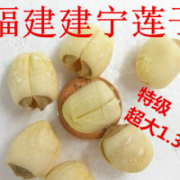 產地直銷福建特產建寧蓮子通芯率高白蓮子一件代發(fā)250克/1件   2包起批