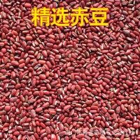 赤小豆 長粒紅小豆 赤小豆 紅小豆 農家赤豆赤小豆  2千克起批