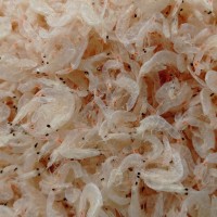 廠家直供天然烘干蝦皮 海味產品 流水線小蝦皮，【新品上市】