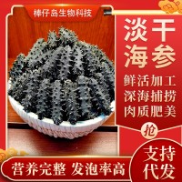 廠家批發(fā)大連淡干海參遼參高刺海參干貨批發(fā)100g簡(jiǎn)易禮盒半干海參