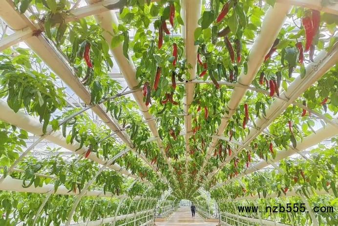 微信截圖_20250421165001