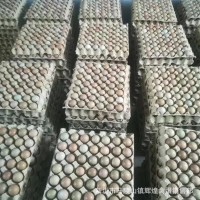 大量批發(fā)新鮮野雞蛋七彩野雞蛋七彩山雞蛋 量大價(jià)優(yōu)新鮮保證