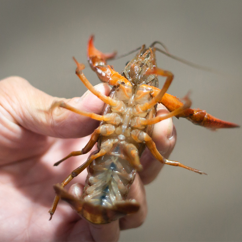 13915016863_85843397