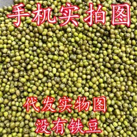 綠豆批發一件代發新貨綠豆量大從優糕餅笨綠豆湯粥易熟新鮮綠豆