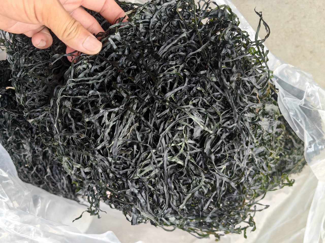 O1CN01kFWsUv21HHIet5J5L_!!939506959-0-cib