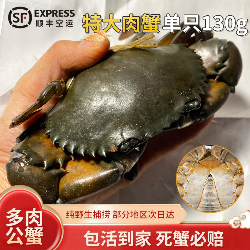 O1CN01s7iQmL1SymI4gXhSX_!!2209551992316-0-cib