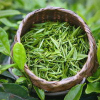 唐風(fēng)融茶香新至西安品茶工作室邀你共嘗春茶第一鮮