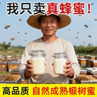椴樹蜂蜜500g結晶豬油蜜雪蜜一斤源頭廠家一件代發椴樹蜜原蜜批發