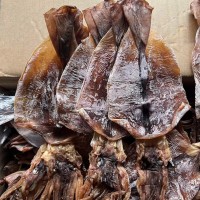 魷魚干批發(fā)阿根廷魷魚餐飲水發(fā)火鍋食材燒烤海味海鮮干貨高蛋白