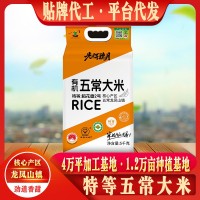 特等五常大米稻花香5斤5kg10斤一袋東北稻花長粒香大米廠家代發